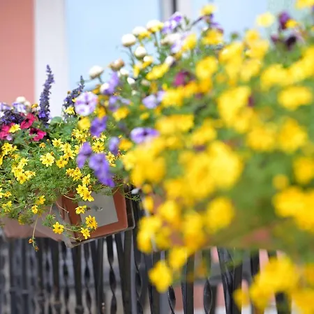 Pensionat Zrenners Garni